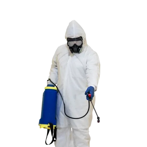 Pest Control services