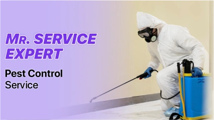 Pest Control Service Near Me @9311587715 | Mr. Service Expert